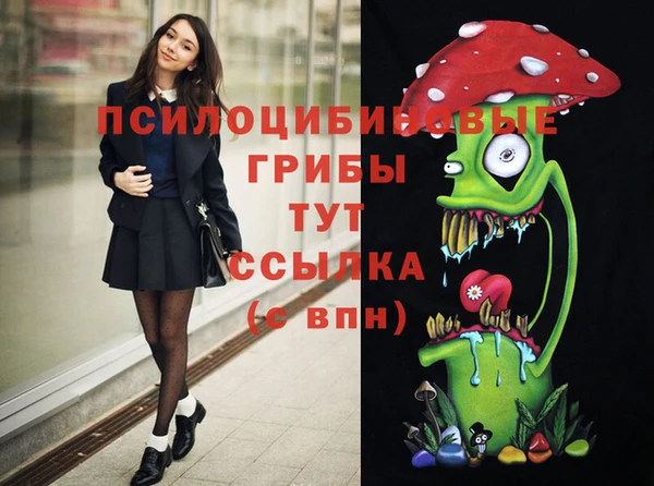 ешки Няндома