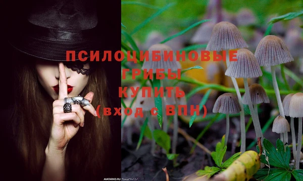 гашишное масло Нязепетровск