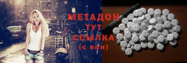 стаф Алзамай